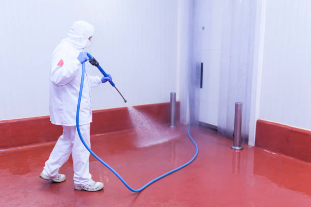 Best Paint Preparation  in Milan, MO